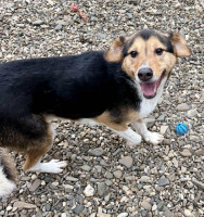 /album/01-02-2026/a32fd871-db44-4d81-b20a-6ae42a4b0d7e-jpeg/