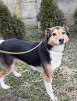 /album/01-02-2026/371df4cb-c602-4a0a-b4b4-6aa55d498ad3-jpeg/