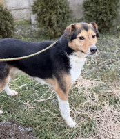 /album/01-02-2026/c57dd56f-baaa-47eb-8340-c745ac9e450f-jpeg/