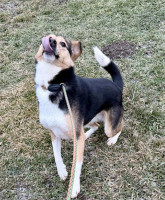 /album/01-02-2026/b38b40d8-c872-4a03-8f5c-aa1e859a890a-jpeg/