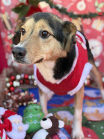 /album/01-02-2026/a4a3249a-4a5b-4739-86dc-f1729f4ec1e4-jpeg/