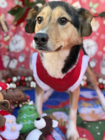 /album/01-02-2026/20a93296-5818-4731-8024-93f6c6658957-jpeg/