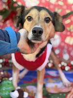 /album/01-02-2026/56211b91-552f-4288-b9b7-881443be8b5b-jpeg/