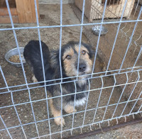 /album/85/571372644-1182804630614268-439216355127620797-n-jpg/