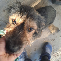 /album/85/569073887-1176713084556756-6676981588246638348-n-jpg/