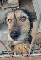 /album/85/565285027-1176713057890092-3335555386087389374-n-jpg/