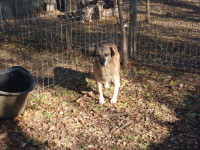 /album/20-11-20246/2356708b-bc55-42fa-9068-d61c91773f91-jpeg/