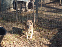 /album/20-11-20246/789e6acd-ed3a-4101-898a-a6a8ae3748d3-jpeg/