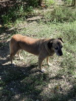 /album/27-08-20257/dd9d23e1-e58b-411e-942d-03ea255fcec8-jpeg/