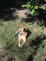 /album/27-08-20257/19652418-7dd2-4016-8d42-cea9d57f49cc-jpeg/