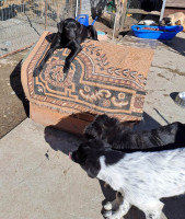 /album/april-2024/482249782-1007172971510769-1747271759660392952-n-jpg/