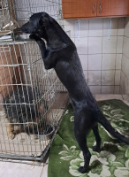 /album/april-2024/484964647-1007172984844101-762343068624926009-n-jpg/