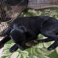 /album/april-2024/484816446-1007172844844115-4299117922888504268-n-jpg/