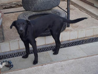 /album/april-2024/484839761-1007172628177470-6169755341301463090-n-jpg/