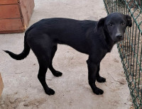 /album/april-2024/484977063-1007172648177468-282794703007721411-n-jpg/