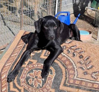 /album/april-2024/484943499-1007172538177479-493359418723808905-n-jpg/