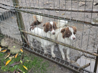 /album/19-11-20253/d378f317-7dab-4944-aa56-7a17508e58f0-jpeg/