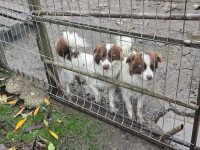 /album/19-11-20257/b99b3dd1-b2c2-4d17-b012-fc8e5c95cb58-jpeg1/