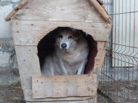 /album/18-11-20243/aa3fc0bd-e167-4fdd-9acb-aabd6d347621-jpeg/