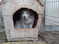 /album/18-11-20243/6fb3a3a0-19c3-4ecb-8776-ab7852792284-jpeg/