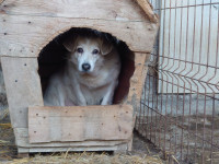 /album/18-11-20243/8222ddb6-7138-4f1b-9d29-7fe90b6e1a8f-jpeg/