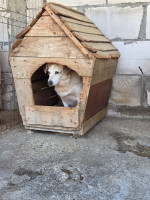 /album/28-08-20252/2b7ee09f-b4f9-4c3b-9f4f-b3e86117a5cc-jpeg/