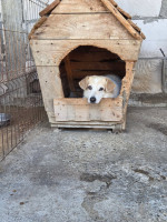 /album/28-08-20252/350cb5af-1a15-450b-a462-655790feb57b-jpeg/