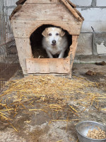 /album/20-11-20252/5357bd30-d662-4f92-ae87-a261c6a8ac48-jpeg/