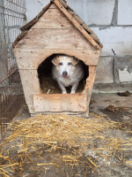 /album/20-11-20252/7d1221a1-241a-489d-a629-6f96ba6a758d-jpeg/