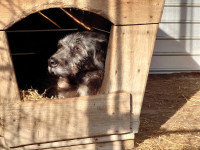 /album/18-11-20246/3f8756bc-d03c-4602-93dc-8c987e986e69-jpeg/