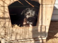 /album/18-11-20246/5c6e5812-8cb7-40e7-9acd-1feac495d162-jpeg/