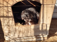 /album/18-11-20246/5ec650de-ebe2-41f5-8526-90af771d2382-jpeg/