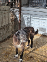 /album/17-11-20257/67c8b138-4b95-4107-9675-0bb0b2cb4d89-jpeg/