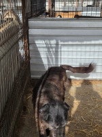 /album/17-11-20257/c1700693-a157-4aa9-a6df-a6235427e308-jpeg/