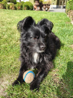 /album/04-02-2026/cb1c66f9-6fdf-4601-9f63-e2888f26f663-jpeg/