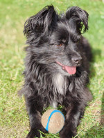 /album/04-02-2026/c7c6bb93-c9e7-458d-84db-151f5b2b4788-jpeg/