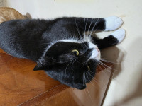 /album/04-02-20261/7b67956d-d6f4-4d0b-8274-c568cc6630ec-jpeg/