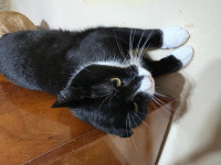 /album/04-02-20261/f153cb12-f082-47ec-89bb-c65c53d6412c-jpeg/