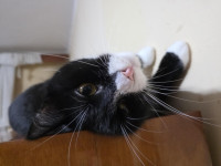 /album/04-02-20261/7204a3fe-a116-4f89-9cb3-25f32abf9741-jpeg/