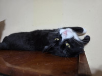 /album/04-02-20261/7dd08494-d22c-46c2-80c2-c1bc7c5199a0-jpeg/