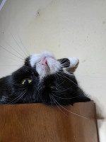 /album/04-02-20261/04d7ba8e-5db0-46fb-9bfe-bef4cf8c5fb3-jpeg/