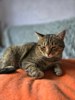 /album/04-02-20262/e388e863-1839-4dd7-b337-198eeb6d171a-jpeg/