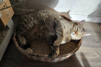 /album/04-02-20262/c101b62b-2b97-4dd1-85c5-617917606751-jpeg/