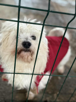 /album/148/ad58c42f-0390-4385-bb81-64c826bb43cb-jpeg/