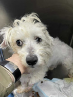 /album/148/2f46f58f-77a5-4638-bc10-93998cc9c2bb-jpeg/