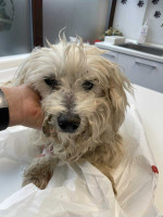 /album/148/735fa22e-d39e-4283-8755-d22b3ce39922-jpeg/