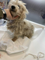 /album/148/9939d6f2-ab88-4e2a-9231-b3eaf6d35d0f-jpeg/