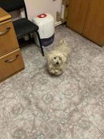 /album/148/436f659c-d477-40ca-a26e-714acbd04af0-jpeg/