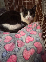 /album/178/631867322-1233737392195507-2687854831380986966-n-jpg/