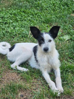 /album/16/576290273-1248961917263145-5038593319579144072-n-jpg/